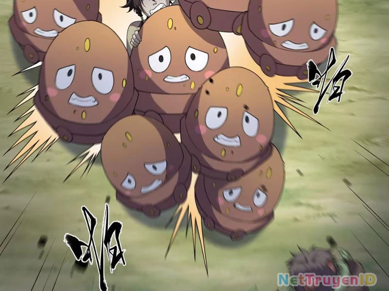 Xuyên Không Đến Thế Giới Tu Chân, Ta Vậy Mà Kích Hoạt Được Hệ Thống Plants vs Zombie Chapter 9 - Trang 3