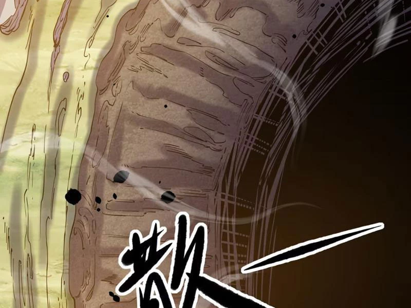 Xuyên Không Đến Thế Giới Tu Chân, Ta Vậy Mà Kích Hoạt Được Hệ Thống Plants vs Zombie Chapter 9 - Trang 3