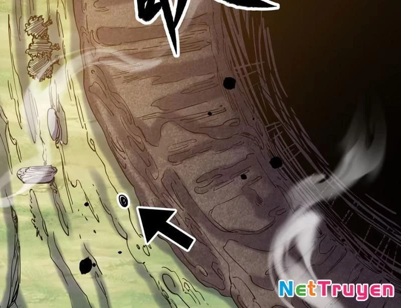 Xuyên Không Đến Thế Giới Tu Chân, Ta Vậy Mà Kích Hoạt Được Hệ Thống Plants vs Zombie Chapter 9 - Trang 3