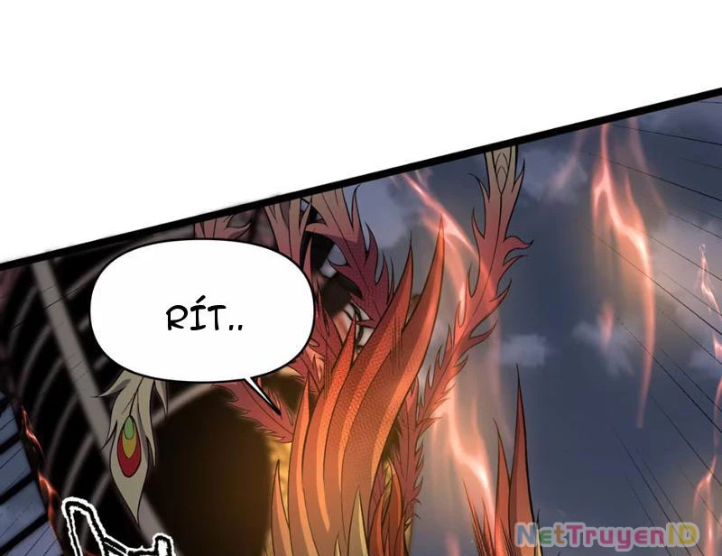 Xuyên Không Đến Thế Giới Tu Chân, Ta Vậy Mà Kích Hoạt Được Hệ Thống Plants vs Zombie Chapter 9 - Trang 3