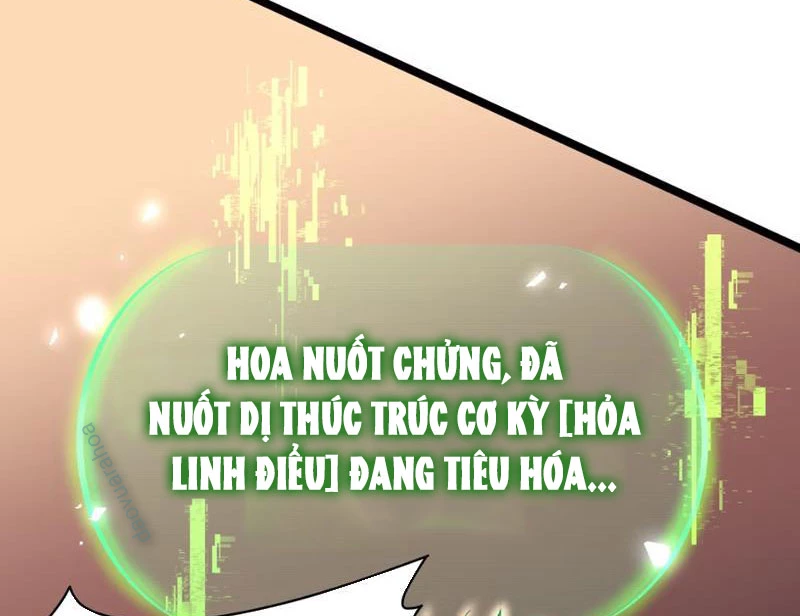 Xuyên Không Đến Thế Giới Tu Chân, Ta Vậy Mà Kích Hoạt Được Hệ Thống Plants vs Zombie Chapter 9 - Trang 3