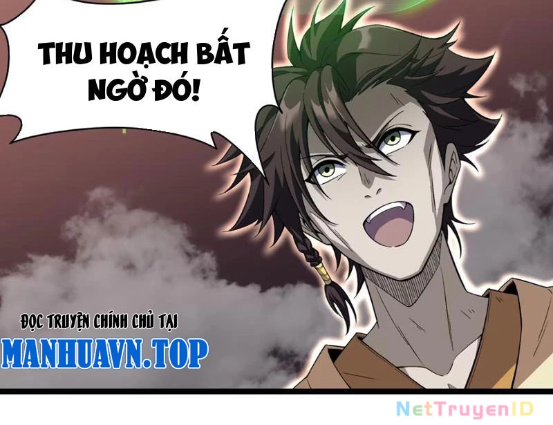 Xuyên Không Đến Thế Giới Tu Chân, Ta Vậy Mà Kích Hoạt Được Hệ Thống Plants vs Zombie Chapter 9 - Trang 3