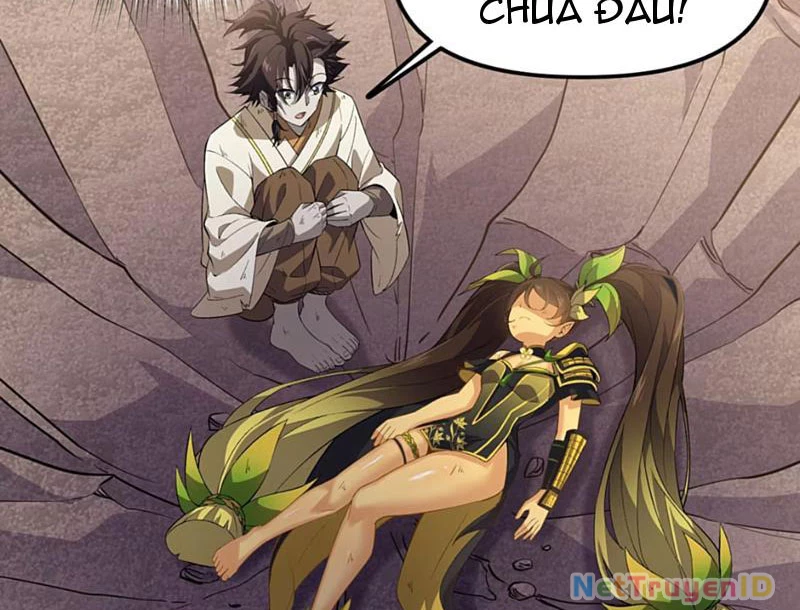 Xuyên Không Đến Thế Giới Tu Chân, Ta Vậy Mà Kích Hoạt Được Hệ Thống Plants vs Zombie Chapter 10 - Trang 3