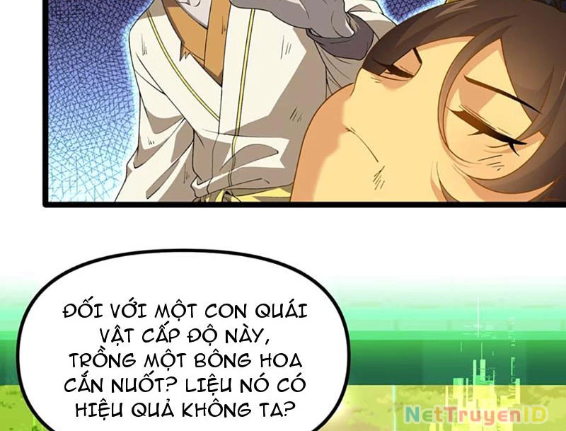 Xuyên Không Đến Thế Giới Tu Chân, Ta Vậy Mà Kích Hoạt Được Hệ Thống Plants vs Zombie Chapter 10 - Trang 3