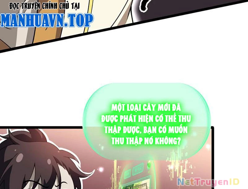 Xuyên Không Đến Thế Giới Tu Chân, Ta Vậy Mà Kích Hoạt Được Hệ Thống Plants vs Zombie Chapter 10 - Trang 3
