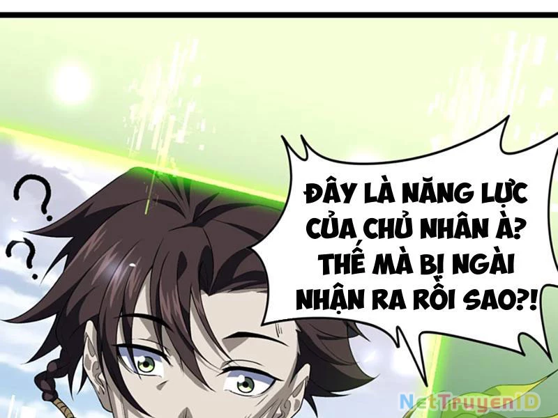 Xuyên Không Đến Thế Giới Tu Chân, Ta Vậy Mà Kích Hoạt Được Hệ Thống Plants vs Zombie Chapter 10 - Trang 3