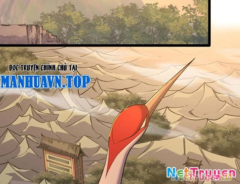 Xuyên Không Đến Thế Giới Tu Chân, Ta Vậy Mà Kích Hoạt Được Hệ Thống Plants vs Zombie Chapter 10 - Trang 3