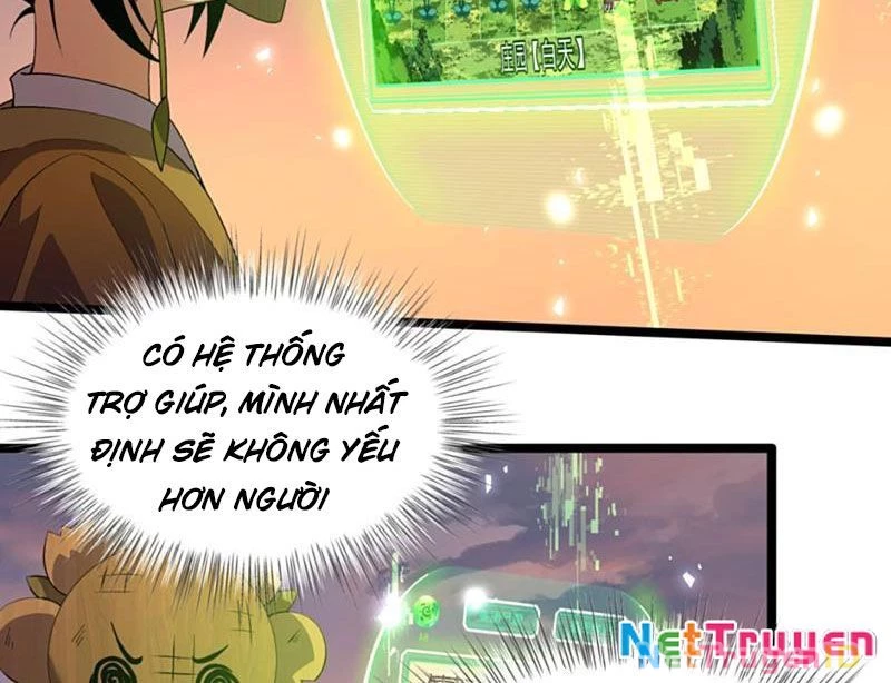 Xuyên Không Đến Thế Giới Tu Chân, Ta Vậy Mà Kích Hoạt Được Hệ Thống Plants vs Zombie Chapter 10 - Trang 3