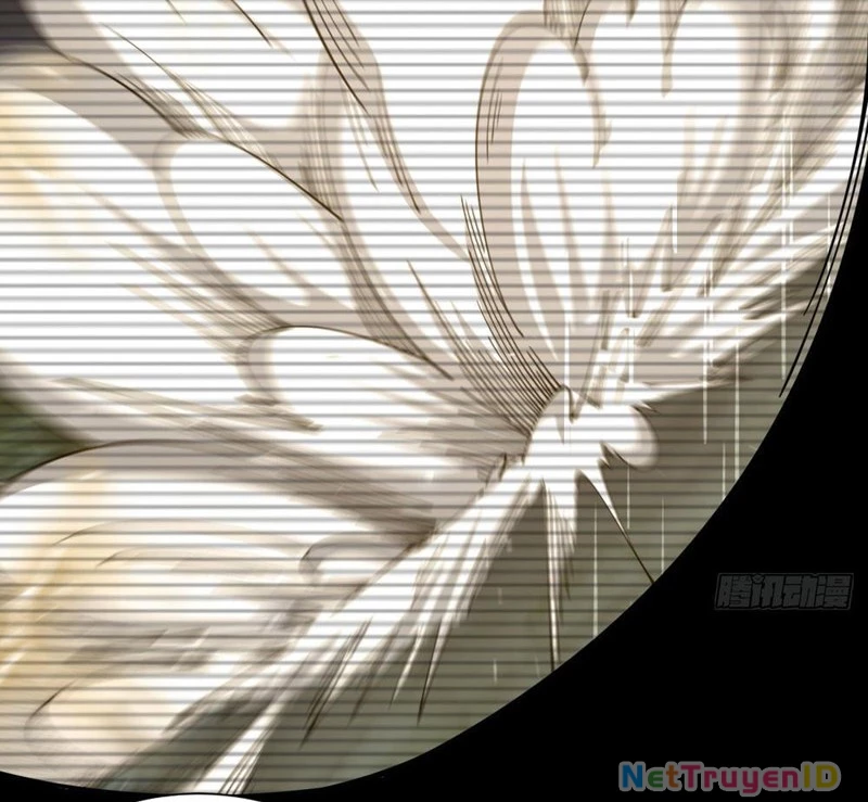 Bệnh Viện Chư Thàn Của Ta Chapter 6 - Trang 3