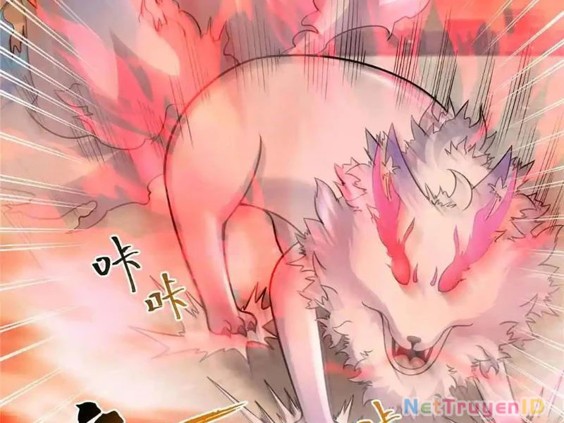Tân Sủng Mị Chapter 65 - Trang 2