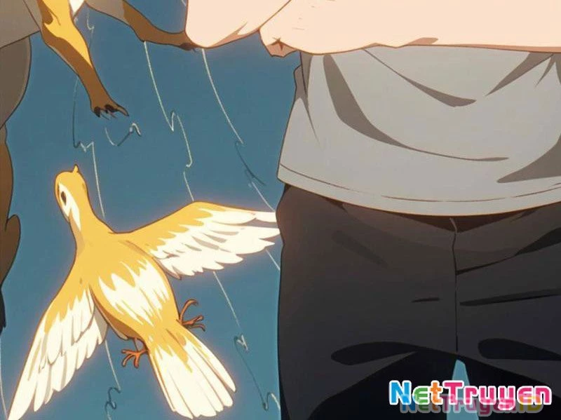 Tận Thế Giáng Lâm: Ta Muốn Tạo Ra Phòng An Toàn Chapter 8 - Trang 3