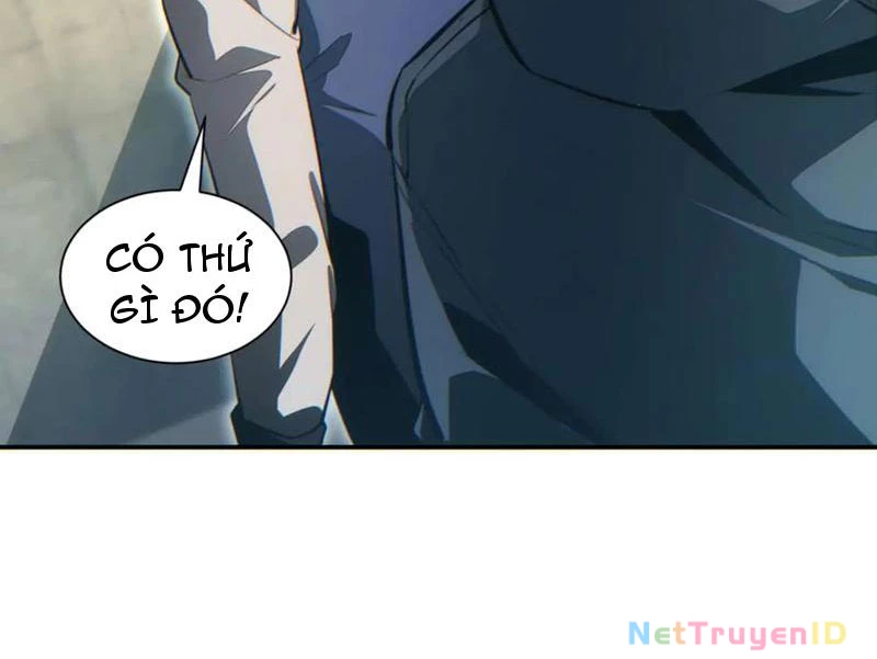 Mạt Thế Trùng Sinh: Ta Dựa Vào Mở Rương Vấn Dỉnh Đỉnh Phong Chapter 39 - Trang 3