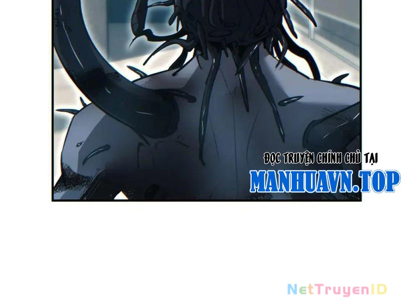 Mạt Thế Trùng Sinh: Ta Dựa Vào Mở Rương Vấn Dỉnh Đỉnh Phong Chapter 39 - Trang 3