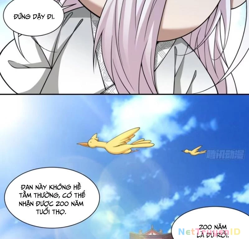 Đồ Đệ Của Ta Đều Là Đại Phản Phái Chapter 345 - Trang 4