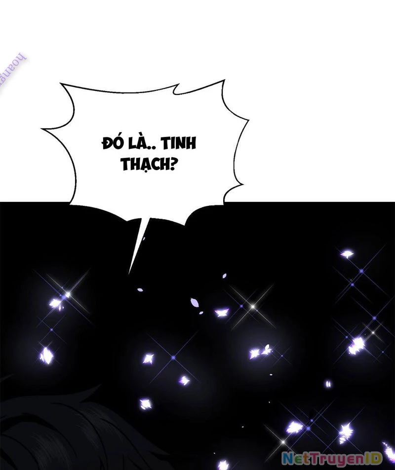 Giải Cứu Thế Giới Bằng Cách Thăng Cấp Chapter 14 - Trang 3