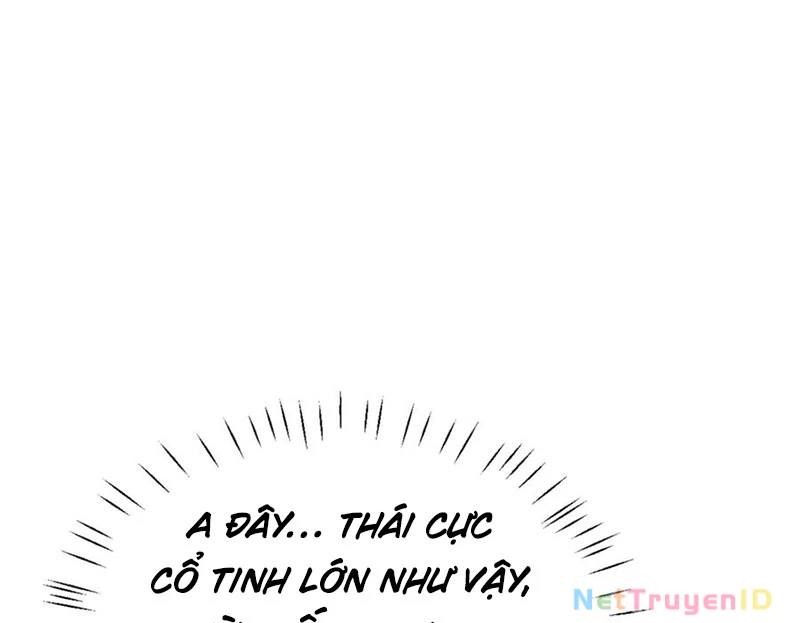 Sư Tôn: Nghịch Đồ Này Mới Không Phải Là Thánh Tử Chapter 116 - Trang 2