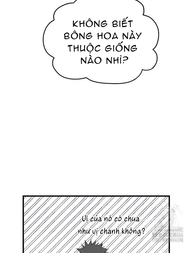 Tôi Đã Đạt Đến Cấp Độ Tối Đa Và Quay Trở Lại Chapter 16 - Trang 3