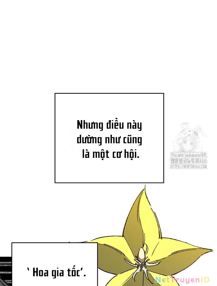 Tôi Đã Đạt Đến Cấp Độ Tối Đa Và Quay Trở Lại Chapter 24 - Trang 3