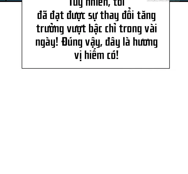 Tôi Đã Đạt Đến Cấp Độ Tối Đa Và Quay Trở Lại Chapter 26 - Trang 3