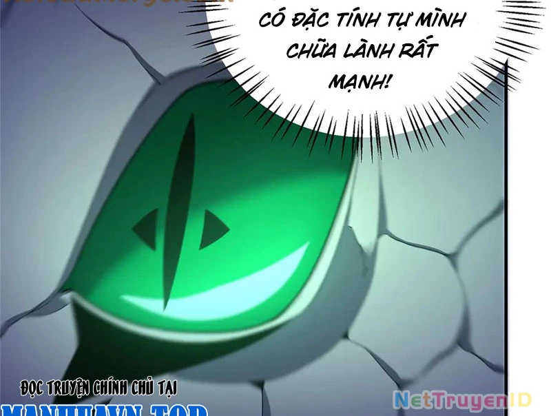 Thần Sủng Tiến Hóa Chapter 386 - Trang 4