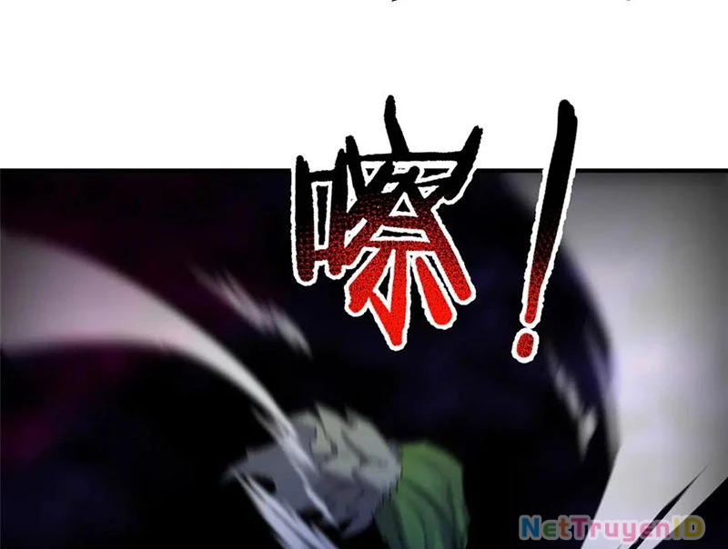 Thần Sủng Tiến Hóa Chapter 386 - Trang 4