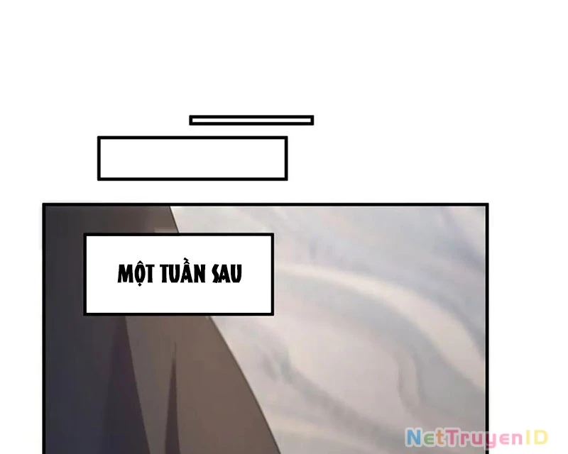 Thần Sủng Tiến Hóa Chapter 386 - Trang 4