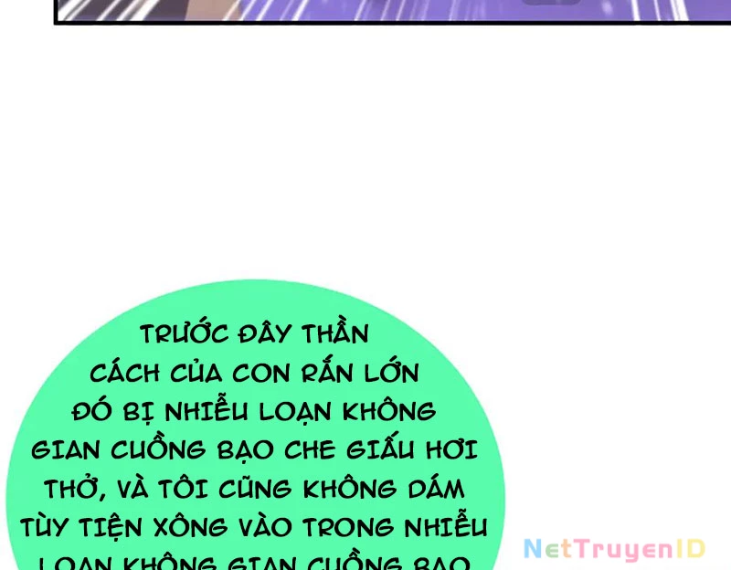 Thần Sủng Tiến Hóa Chapter 386 - Trang 4