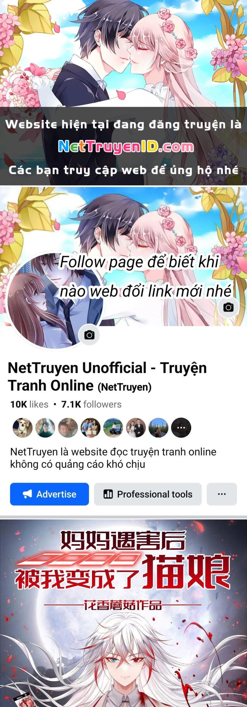 Ta biến thành miêu nương Chapter 2 - Trang 2