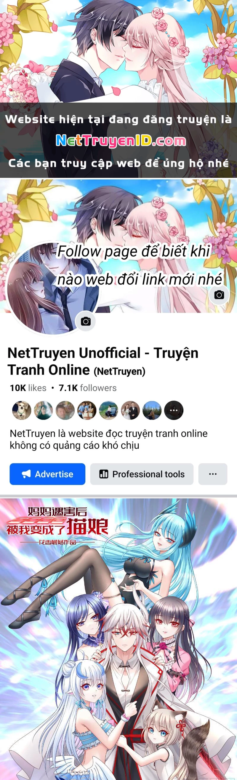 Ta biến thành miêu nương Chapter 4 - Trang 2