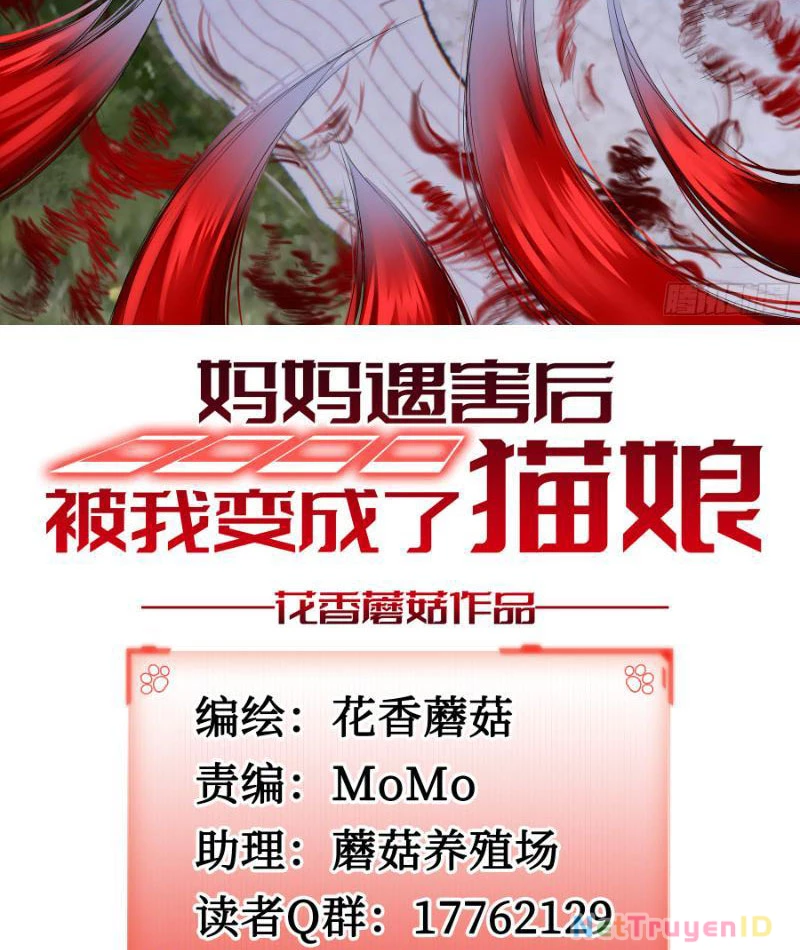 Ta biến thành miêu nương Chapter 4 - Trang 2
