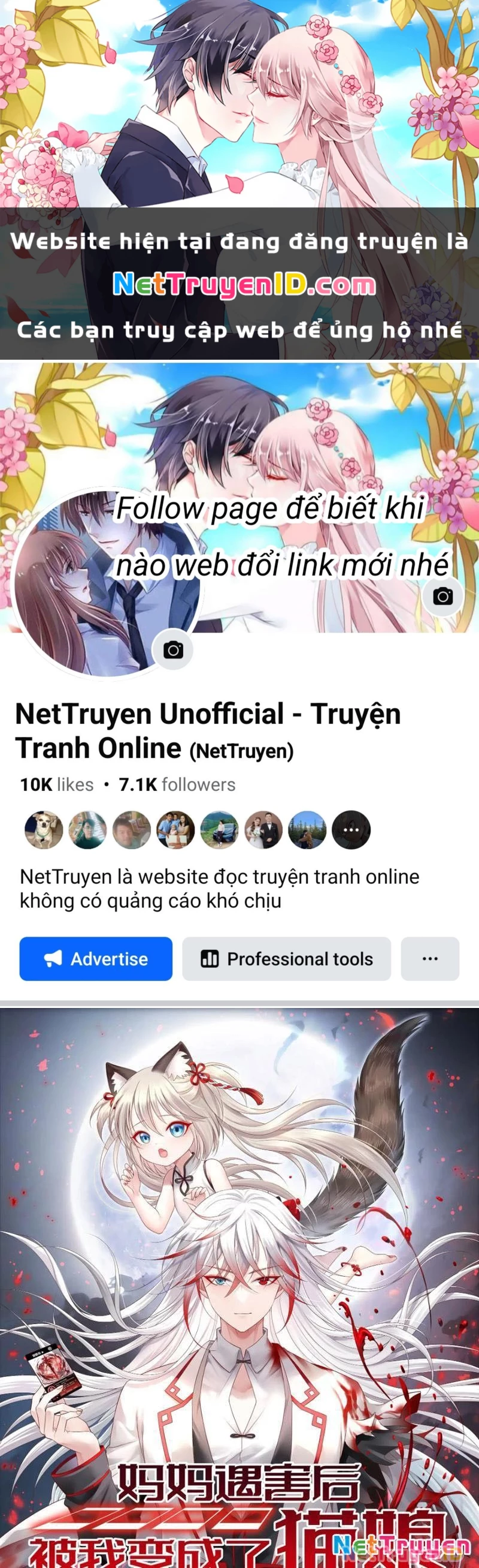 Ta biến thành miêu nương Chapter 8 - Trang 2