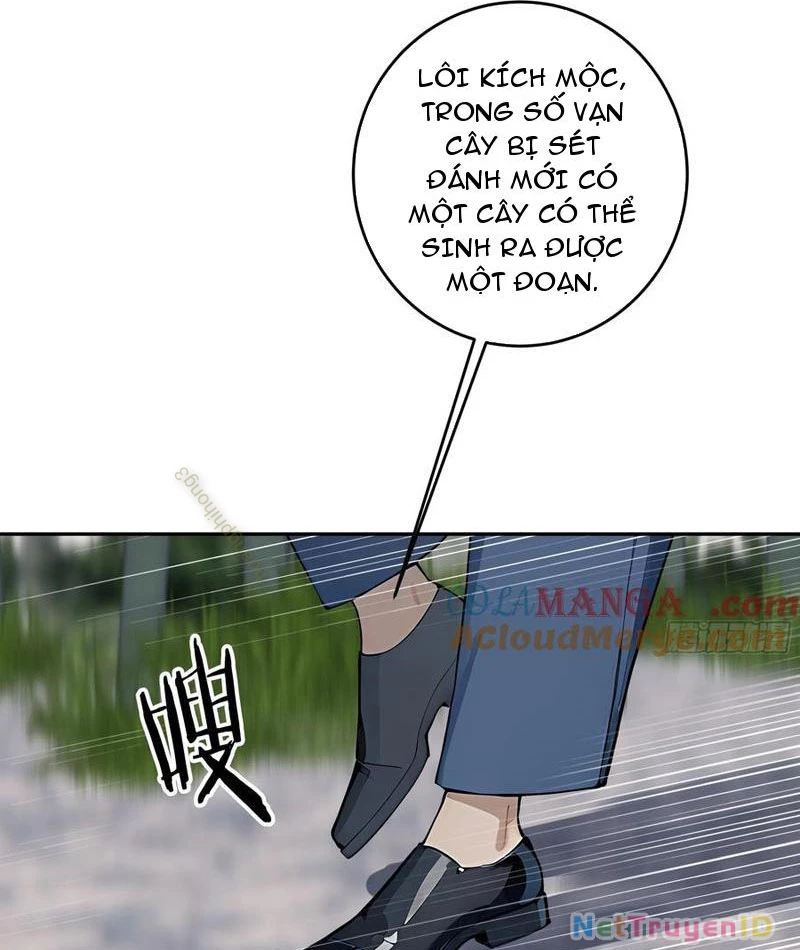 Tôi Thật Không Muốn Làm Học Thần Chapter 55 - Trang 2