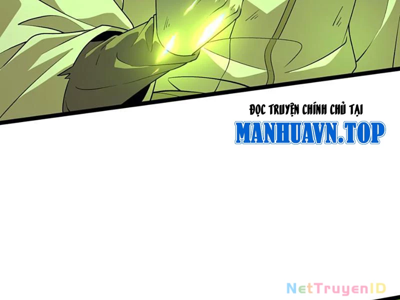 Xuyên Không Đến Thế Giới Tu Chân, Ta Vậy Mà Kích Hoạt Được Hệ Thống Plants vs Zombie Chapter 11 - Trang 3
