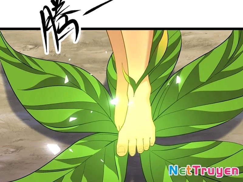 Xuyên Không Đến Thế Giới Tu Chân, Ta Vậy Mà Kích Hoạt Được Hệ Thống Plants vs Zombie Chapter 11 - Trang 3