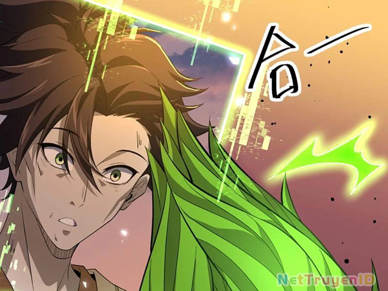 Xuyên Không Đến Thế Giới Tu Chân, Ta Vậy Mà Kích Hoạt Được Hệ Thống Plants vs Zombie Chapter 11 - Trang 3
