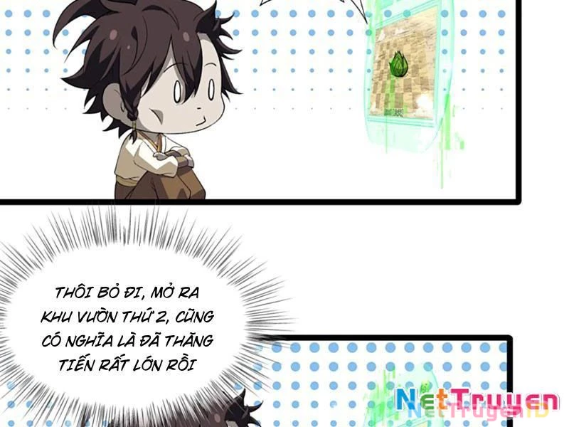 Xuyên Không Đến Thế Giới Tu Chân, Ta Vậy Mà Kích Hoạt Được Hệ Thống Plants vs Zombie Chapter 11 - Trang 3