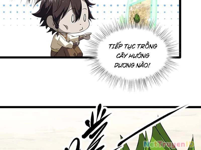 Xuyên Không Đến Thế Giới Tu Chân, Ta Vậy Mà Kích Hoạt Được Hệ Thống Plants vs Zombie Chapter 11 - Trang 3
