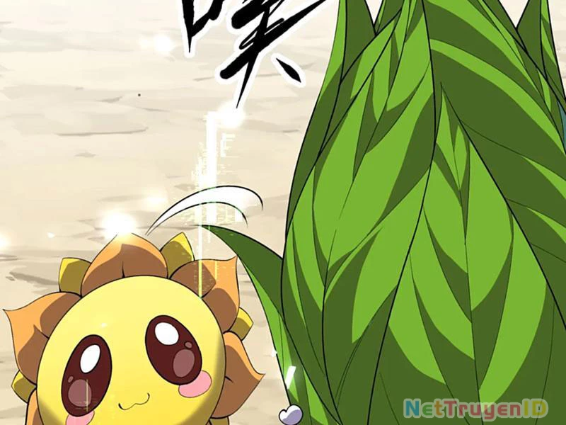 Xuyên Không Đến Thế Giới Tu Chân, Ta Vậy Mà Kích Hoạt Được Hệ Thống Plants vs Zombie Chapter 11 - Trang 3