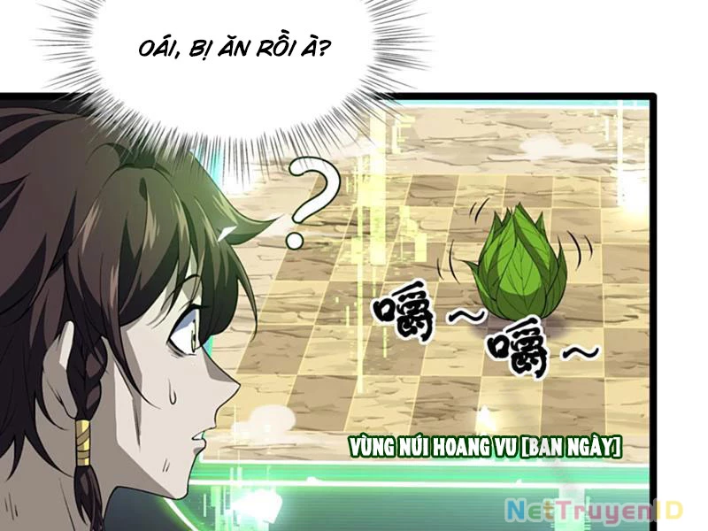 Xuyên Không Đến Thế Giới Tu Chân, Ta Vậy Mà Kích Hoạt Được Hệ Thống Plants vs Zombie Chapter 11 - Trang 3