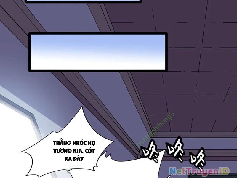 Xuyên Không Đến Thế Giới Tu Chân, Ta Vậy Mà Kích Hoạt Được Hệ Thống Plants vs Zombie Chapter 11 - Trang 3