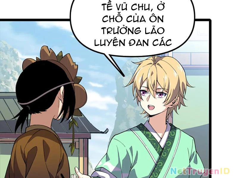 Xuyên Không Đến Thế Giới Tu Chân, Ta Vậy Mà Kích Hoạt Được Hệ Thống Plants vs Zombie Chapter 11 - Trang 3