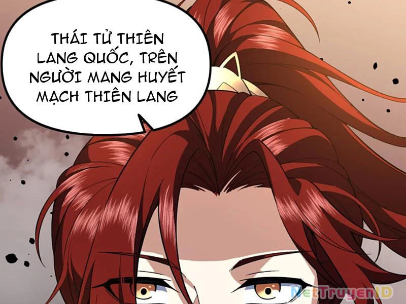 Xuyên Không Đến Thế Giới Tu Chân, Ta Vậy Mà Kích Hoạt Được Hệ Thống Plants vs Zombie Chapter 11 - Trang 3