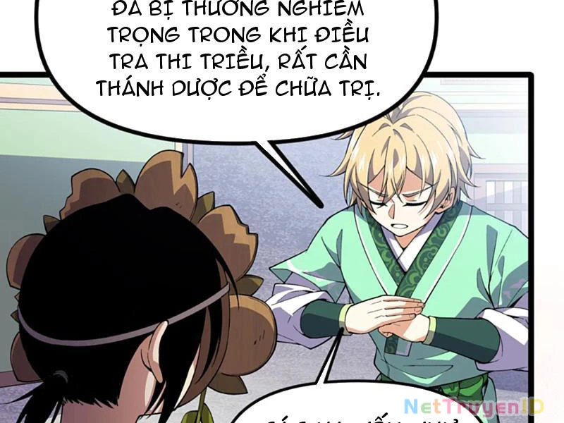 Xuyên Không Đến Thế Giới Tu Chân, Ta Vậy Mà Kích Hoạt Được Hệ Thống Plants vs Zombie Chapter 11 - Trang 3