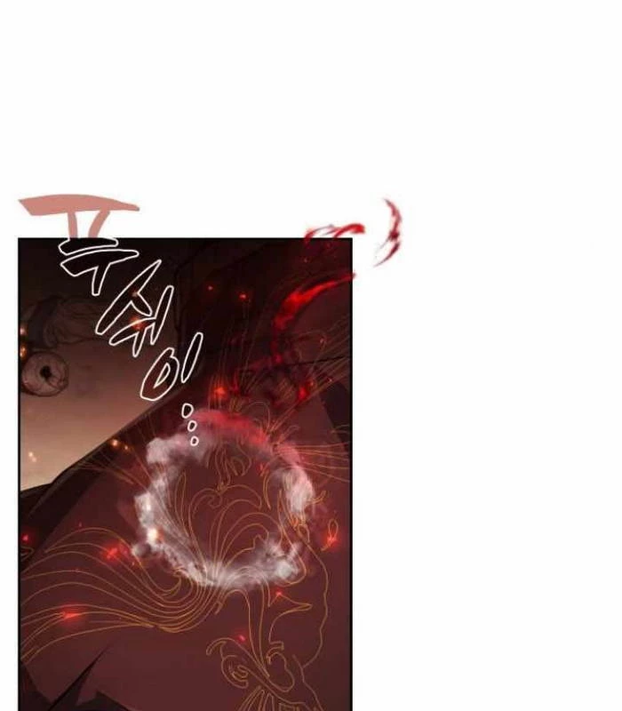 Đa Sắc Ma Pháp Sư Thiên Tài Chapter 25 - Trang 3