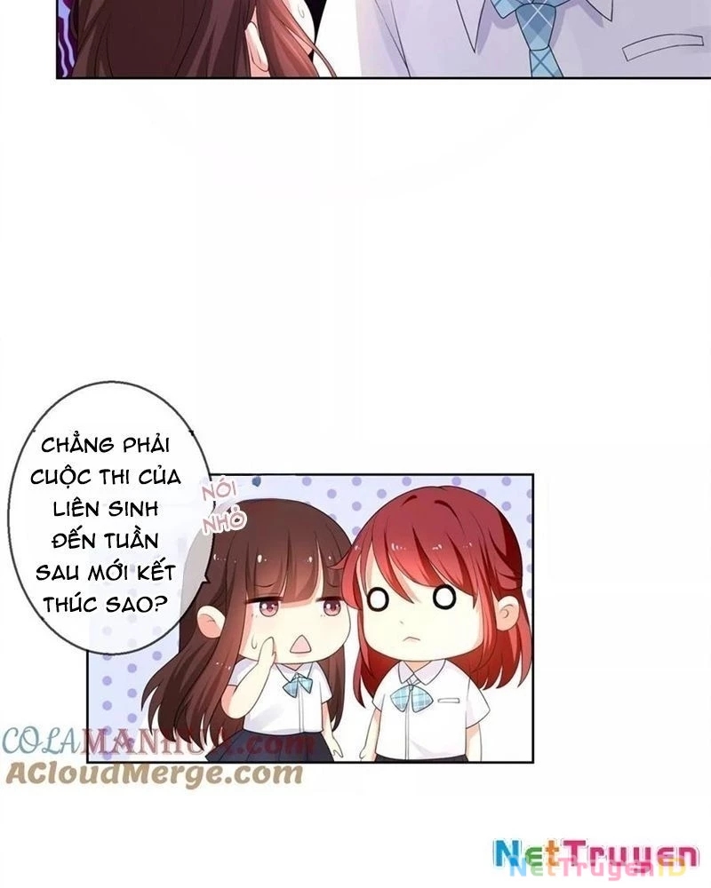 Bạn Cùng Bàn Của Tôi Nổi Tiếng Là Mèo Chapter 13 - Trang 2
