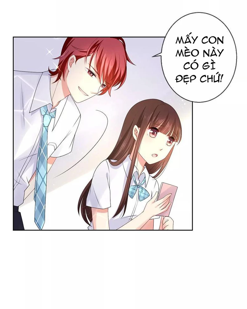 Bạn Cùng Bàn Của Tôi Nổi Tiếng Là Mèo Chapter 15 - Trang 2