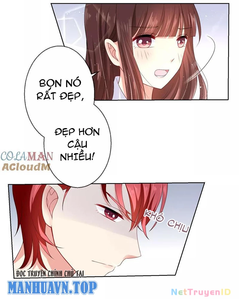 Bạn Cùng Bàn Của Tôi Nổi Tiếng Là Mèo Chapter 15 - Trang 2