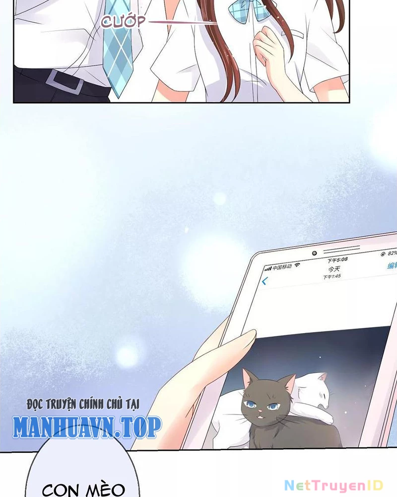 Bạn Cùng Bàn Của Tôi Nổi Tiếng Là Mèo Chapter 15 - Trang 2