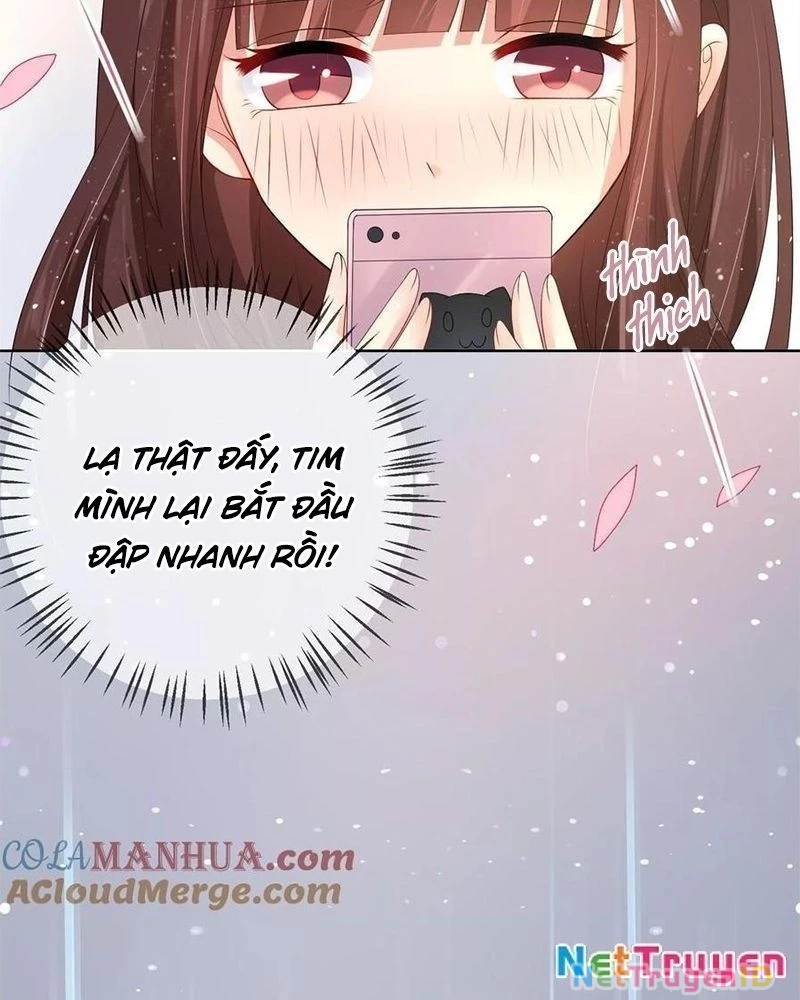 Bạn Cùng Bàn Của Tôi Nổi Tiếng Là Mèo Chapter 15 - Trang 2