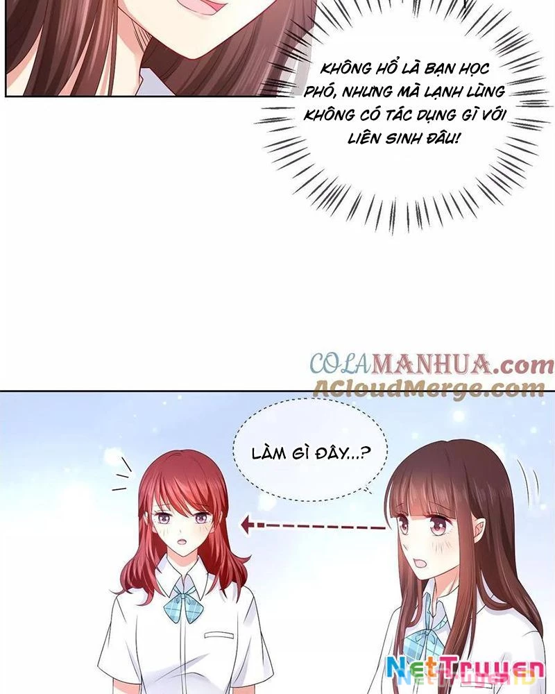 Bạn Cùng Bàn Của Tôi Nổi Tiếng Là Mèo Chapter 16 - Trang 2